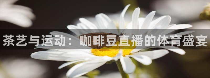 茶艺与运动：咖啡豆直播的体育盛宴