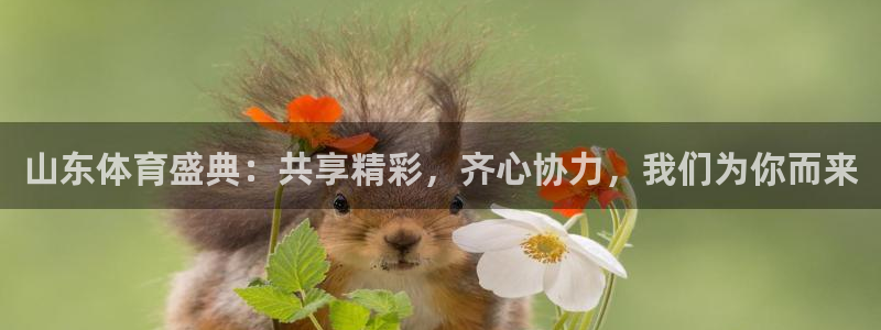 山东体育盛典：共享精彩，齐心协力，我们为你而来