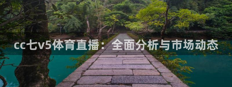 cc七v5体育直播：全面分析与市场动态