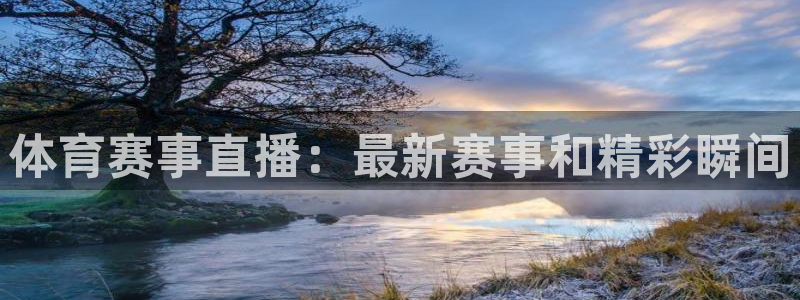 体育赛事直播：最新赛事和精彩瞬间