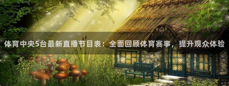 体育中央5台最新直播节目表：全面回顾体育赛事，提升观众体验