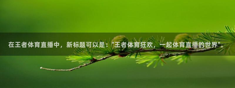 在王者体育直播中，新标题可以是：\
