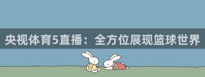 央视体育5直播：全方位展现篮球世界