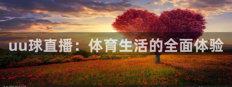 uu球直播：体育生活的全面体验