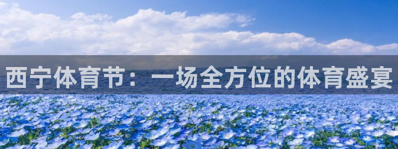 西宁体育节：一场全方位的体育盛宴