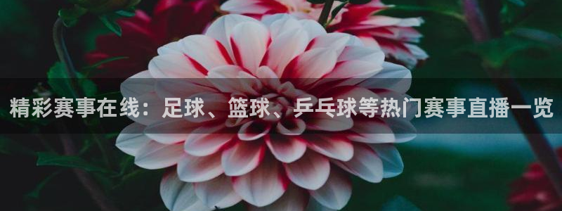 精彩赛事在线：足球、篮球、乒乓球等热门赛事直播一览