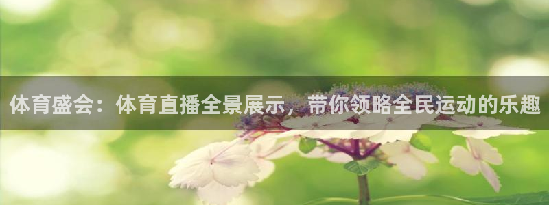 体育盛会：体育直播全景展示，带你领略全民运动的乐趣