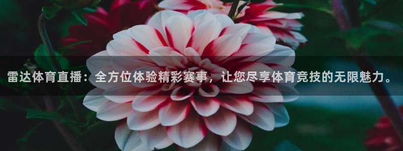 雷达体育直播：全方位体验精彩赛事，让您尽享体育竞技的无限魅力。