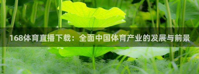 168体育直播下载：全面中国体育产业的发展与前景