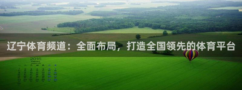 辽宁体育频道：全面布局，打造全国领先的体育平台