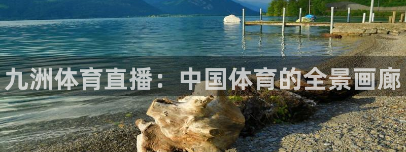 九洲体育直播：中国体育的全景画廊